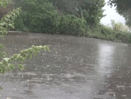 איפה החורף? שיאי חום בנובמבר - והגשם לא נראה באופק