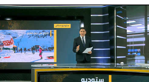 نايف سارجي