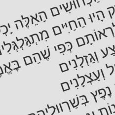 טקסט