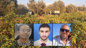 עומר ויינשטיין, מינה וכרמי חסון