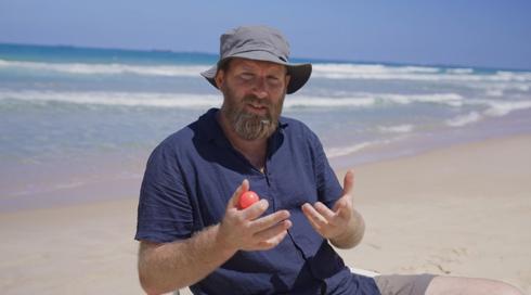 כאן דעה