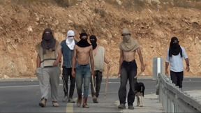 מתפרעים יהודים בשטחים