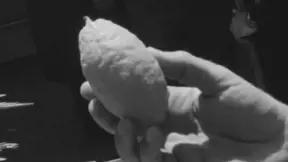 מכירת ארבעת המינים