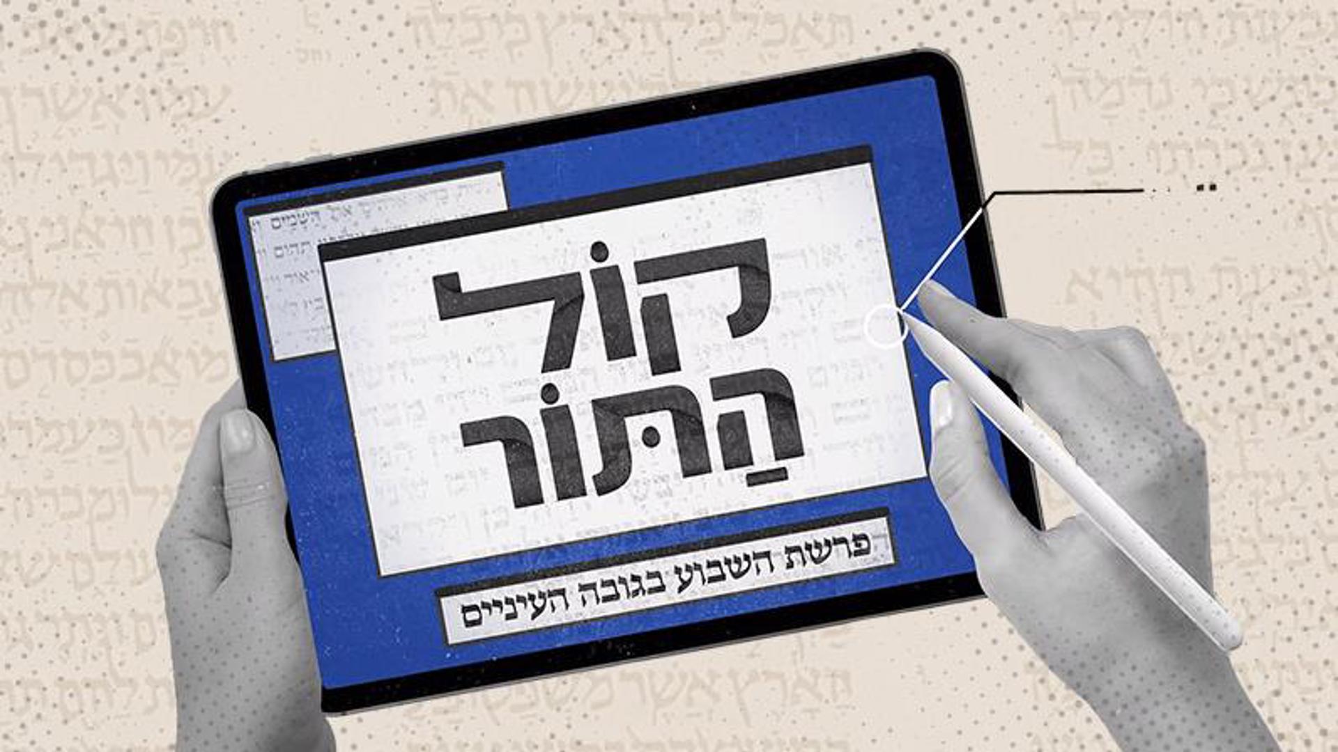 קול התור