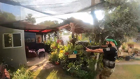 סרטון הסברה דיגיטל