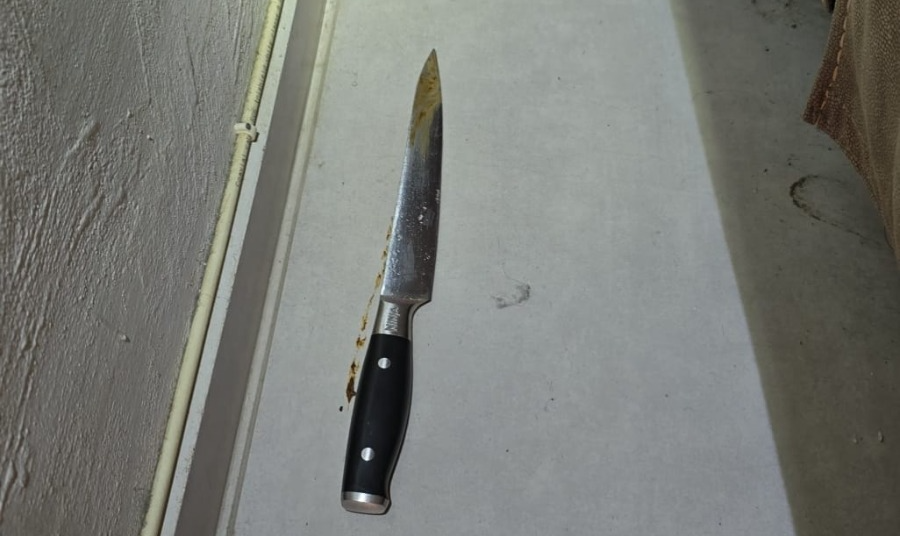 הסכין שעל פי החשד שימשה את הבן לדקור את אימו בנוף הגליל