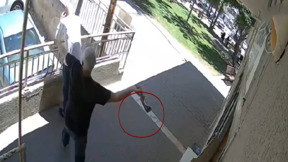 אלימות בלי גבולות