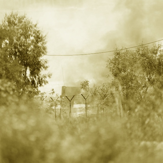 נתיבעשרה 500