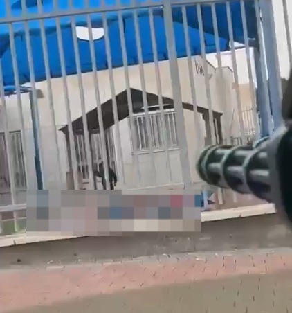 האירוע החריג באשקלון: יורה ברובה צעצוע לעבר גן ילדים