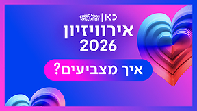 איך מצביעים?