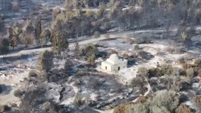 תיעוד נזקי השריפה בהרי ירושלים
