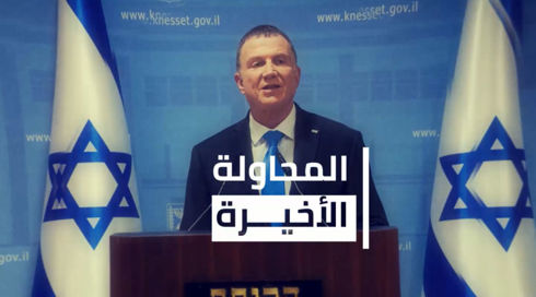 النشرة المسائية
