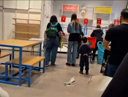 אורבניקה הכריזה על מבצע - הישראלים התנפלו: "אפילו הבובה עירומה"