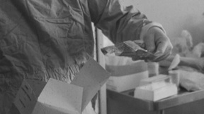 בנק העור בבית חולים רמב"ם