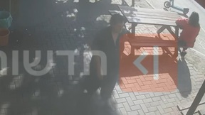 פרופ' נורית יערי