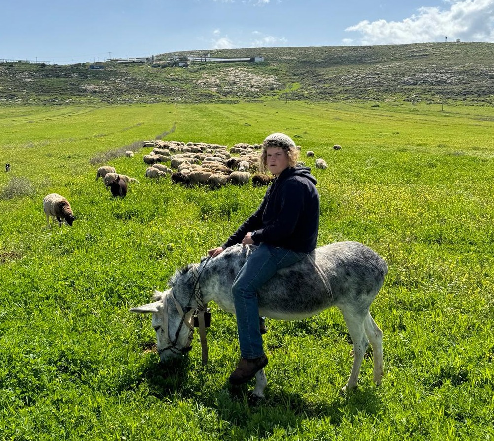 הנער בנימין אחימאיר