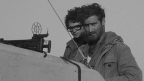 סיור דבורים במפרץ סואץ