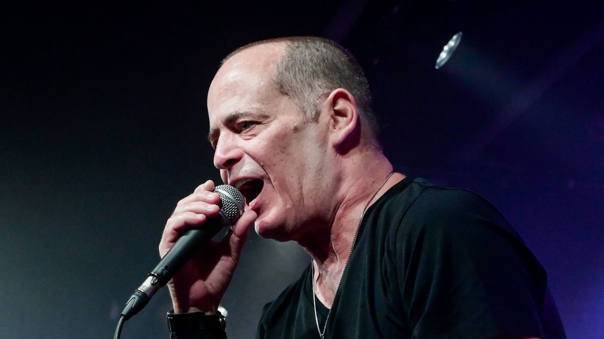 הזמר אדם בהופעה, ארכיון