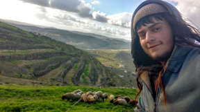 יהודה שמואל שרמן