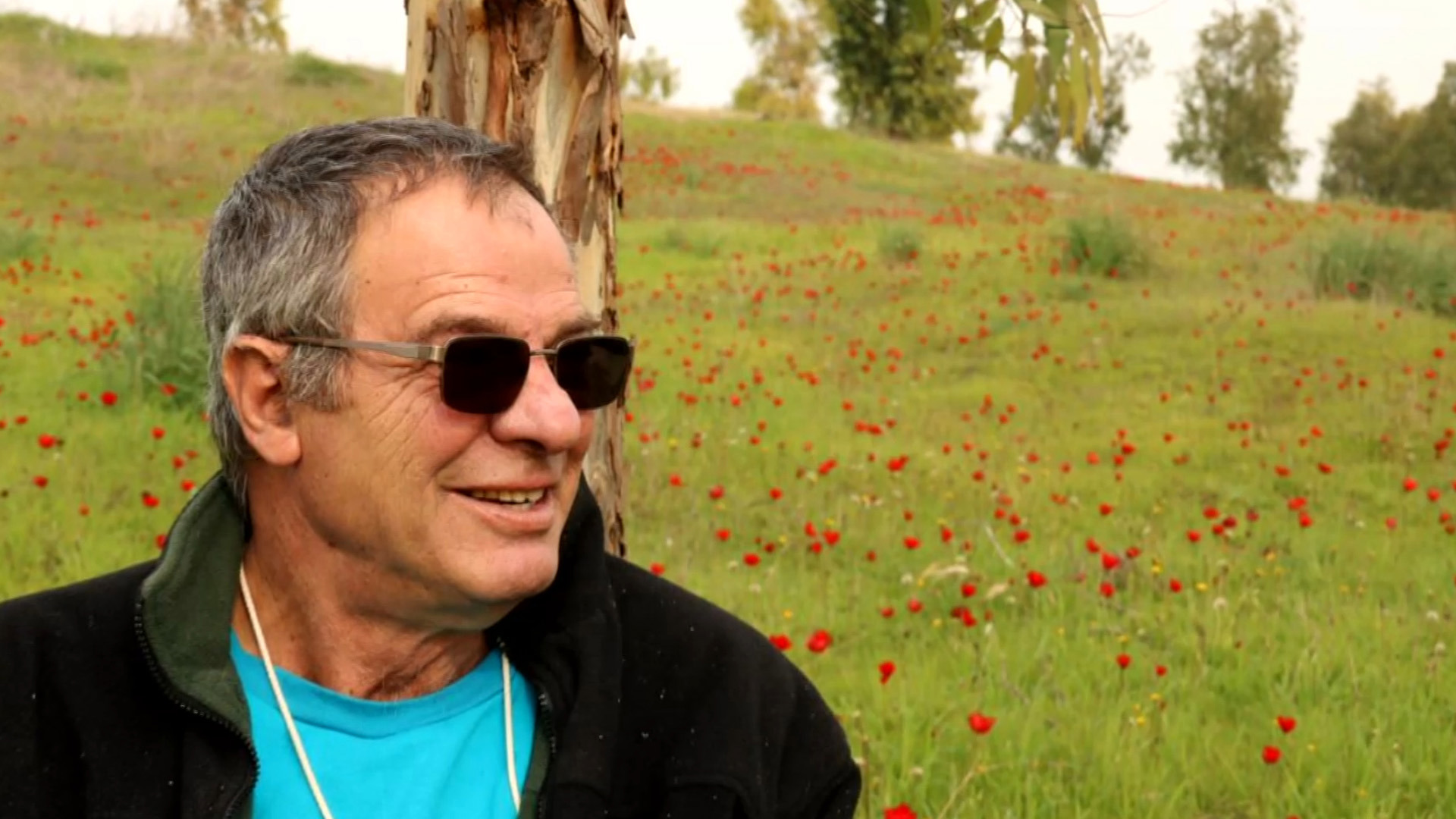 נגריית בארי