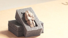 הממצא הנדיר בין 12 אלף השנים שאותר בצפון הארץ