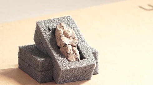 הממצא הנדיר בין 12 אלף השנים שאותר בצפון הארץ