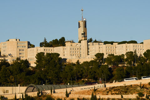 האוניברסיטה העברית