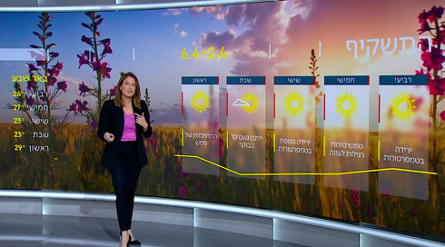 התחזית 01.04.25