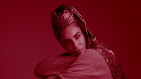 שדות | נרקיס 