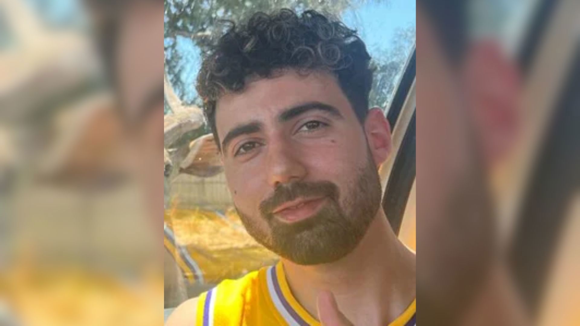 גיא גלבוע דלאל