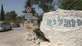 סלקציה גלגלית
