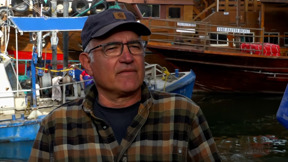 הקאמבק של דגי הכינרת: מהאגם לצלחת ביוזמה קולינרית חדשה