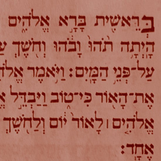 מתחילות מבראשית