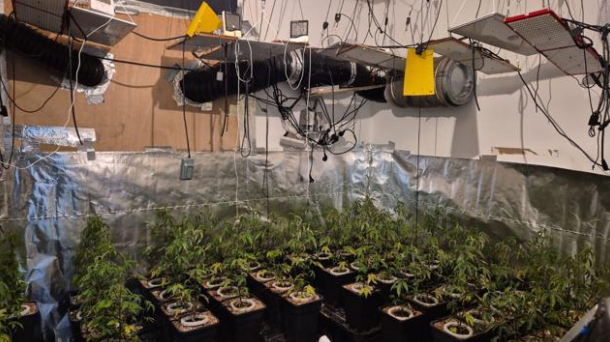 מעבדת סמים שהתגלתה בבית יועצת של השרה מאי גולן