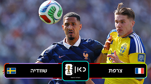 תקציר מורחב