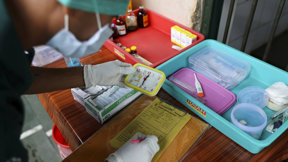 ערכת חיסון לכלבת