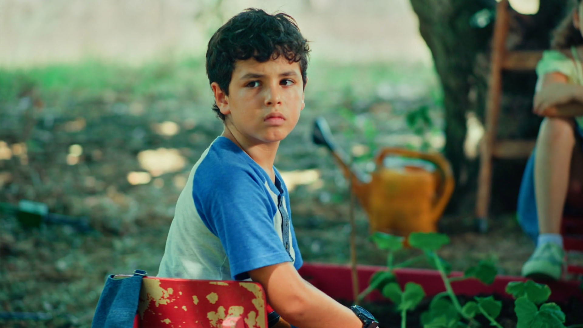 הגינה של תמרי פרק 12