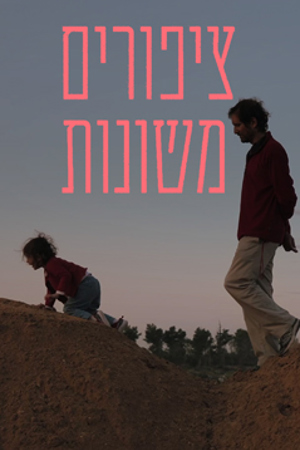 ציפורים משונות
