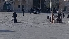 צעירים פרצו להר הבית במטרה להקריב קורבן שבועות