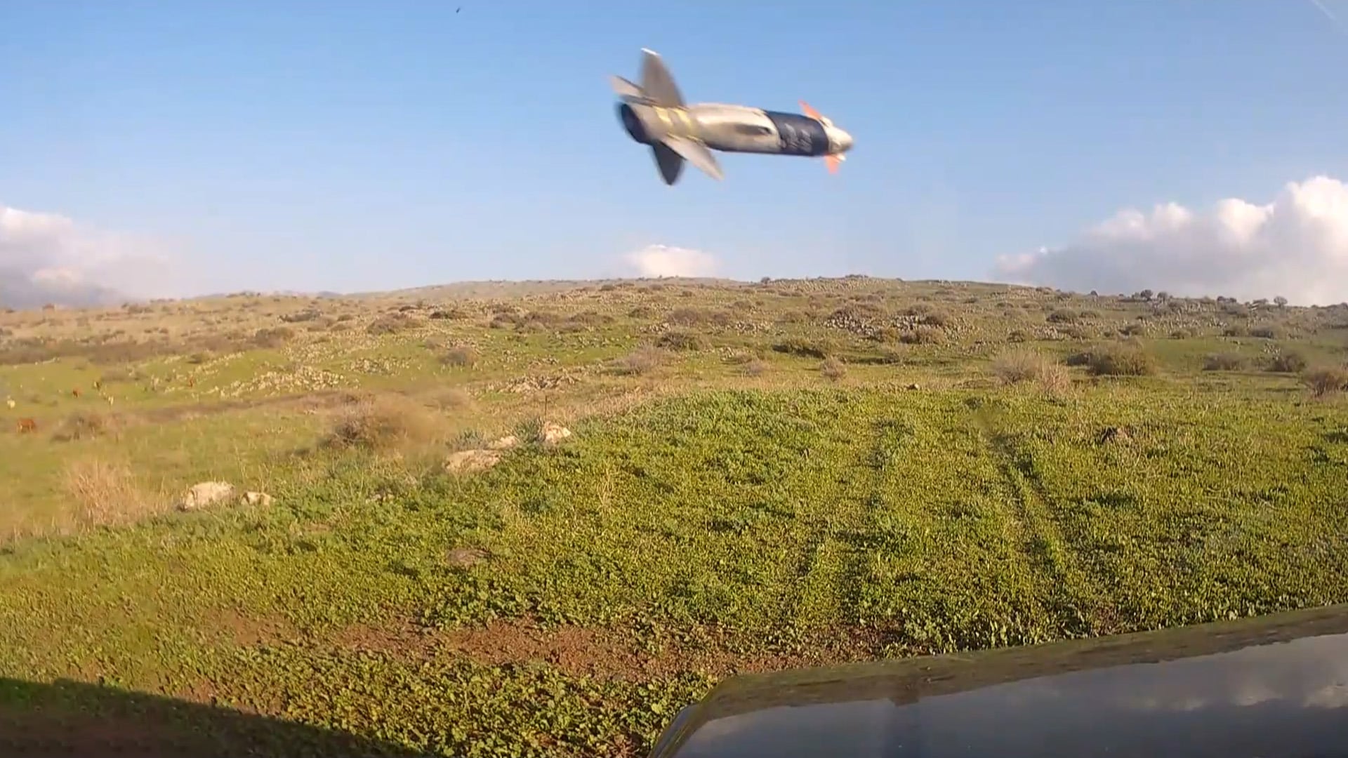 לחימה בגבול הצפון