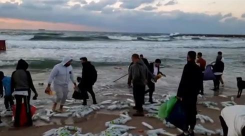 النشرة المسائية مع سماح حسنين بكرية | 28.12.2