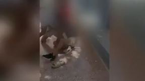 קטטה תיכון חדרה