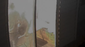 תיעוד מערב התקיפה שהגיע לידי המשטרה