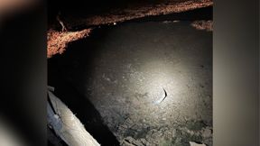 מקום נפילת הפצצה, סמוך לניר יצחק