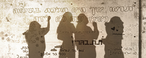 פרק 11: מאיה