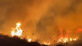 שריפה בצפון בעקבות ירי רקטות