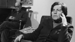 דוד אבישי ויאיר