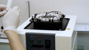 החלטה תקדימית: הורי צעירה שנפטרה מסרטן יוכלו לתרום את הביציות שלה