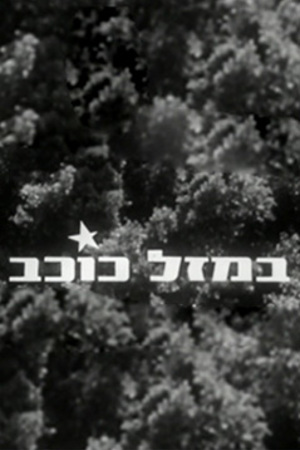 Poster Image Small 239X360 פוסטר קטן במזל כוכב