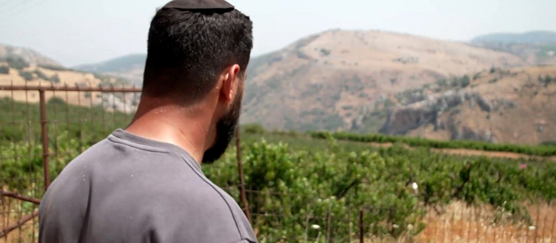 הדמעות שהפכו ליין: היקב השרוף באביבים קם לתחייה